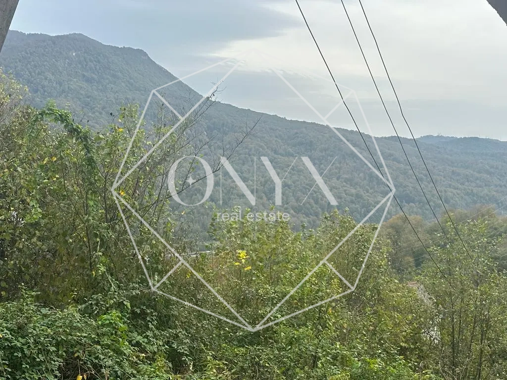 Изображение 8