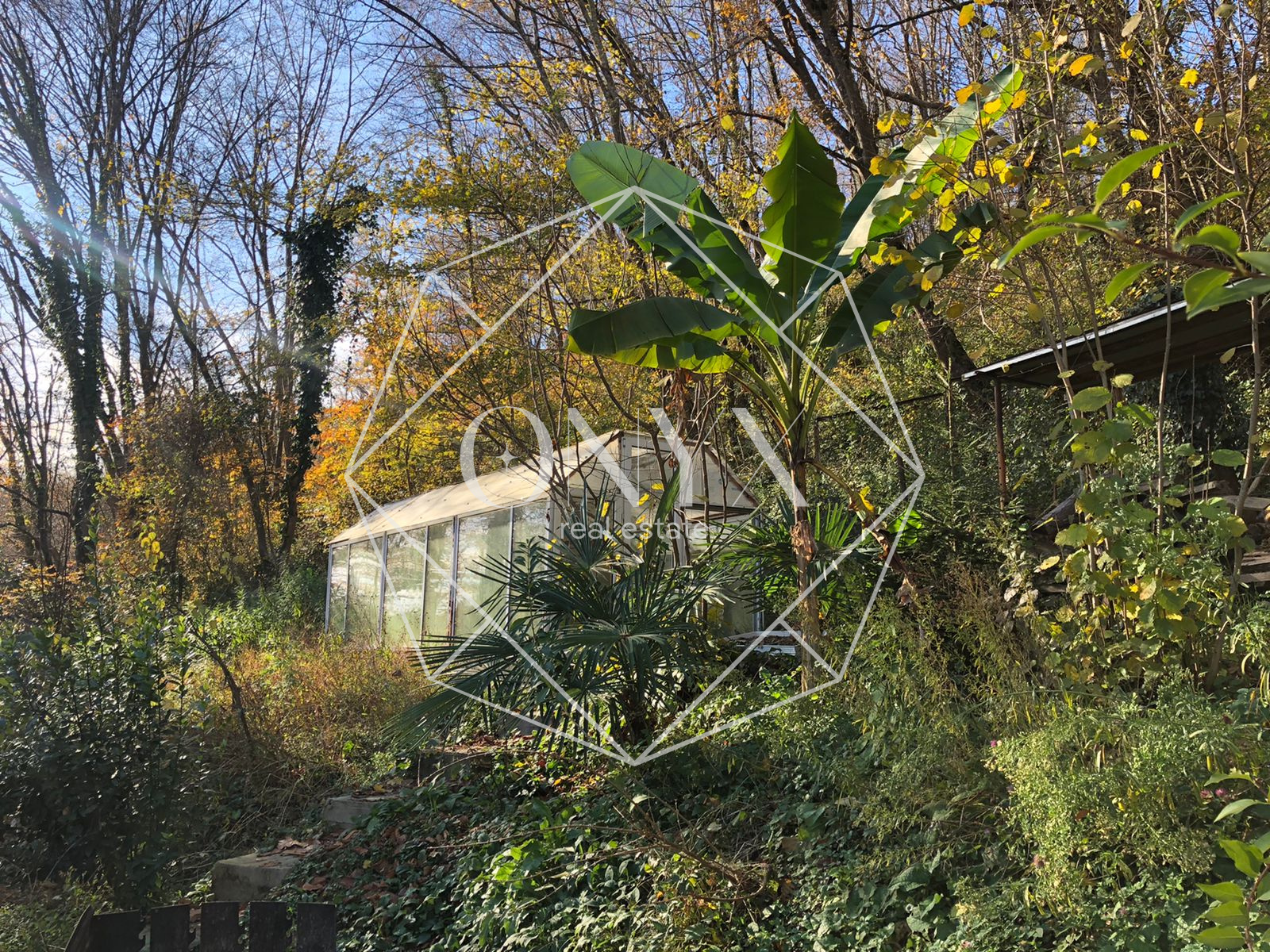 Изображение 14