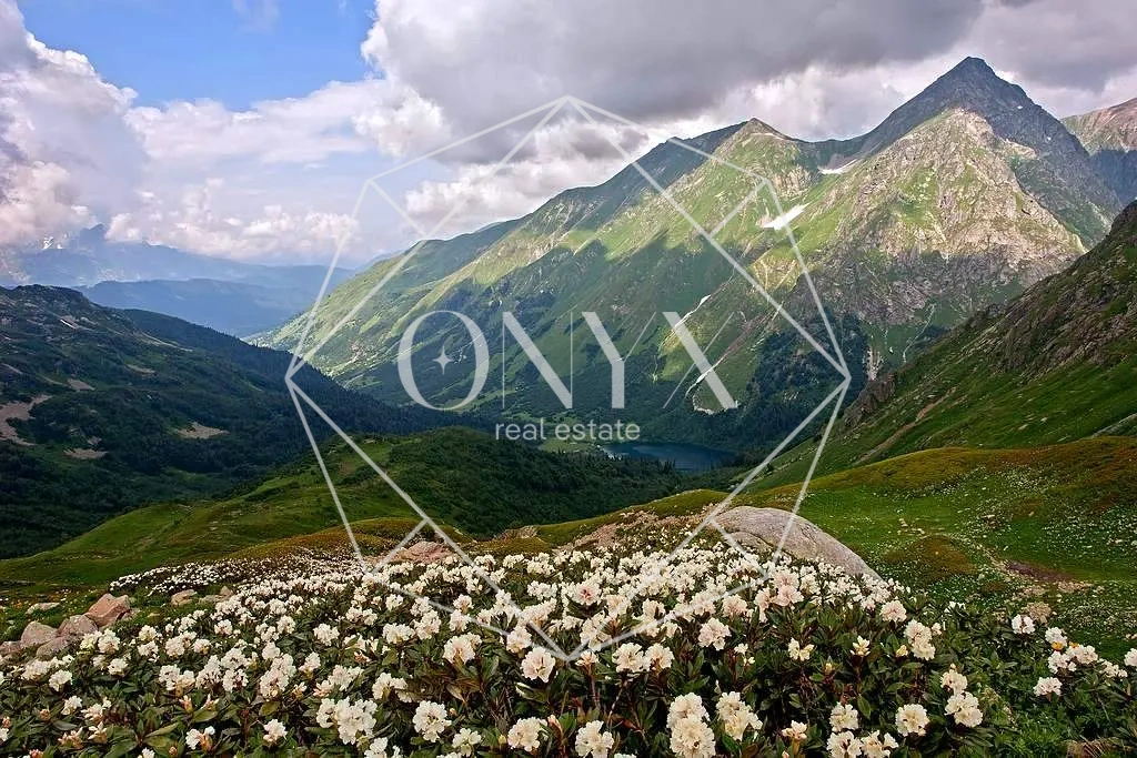 Изображение 20