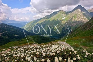 Изображение 20