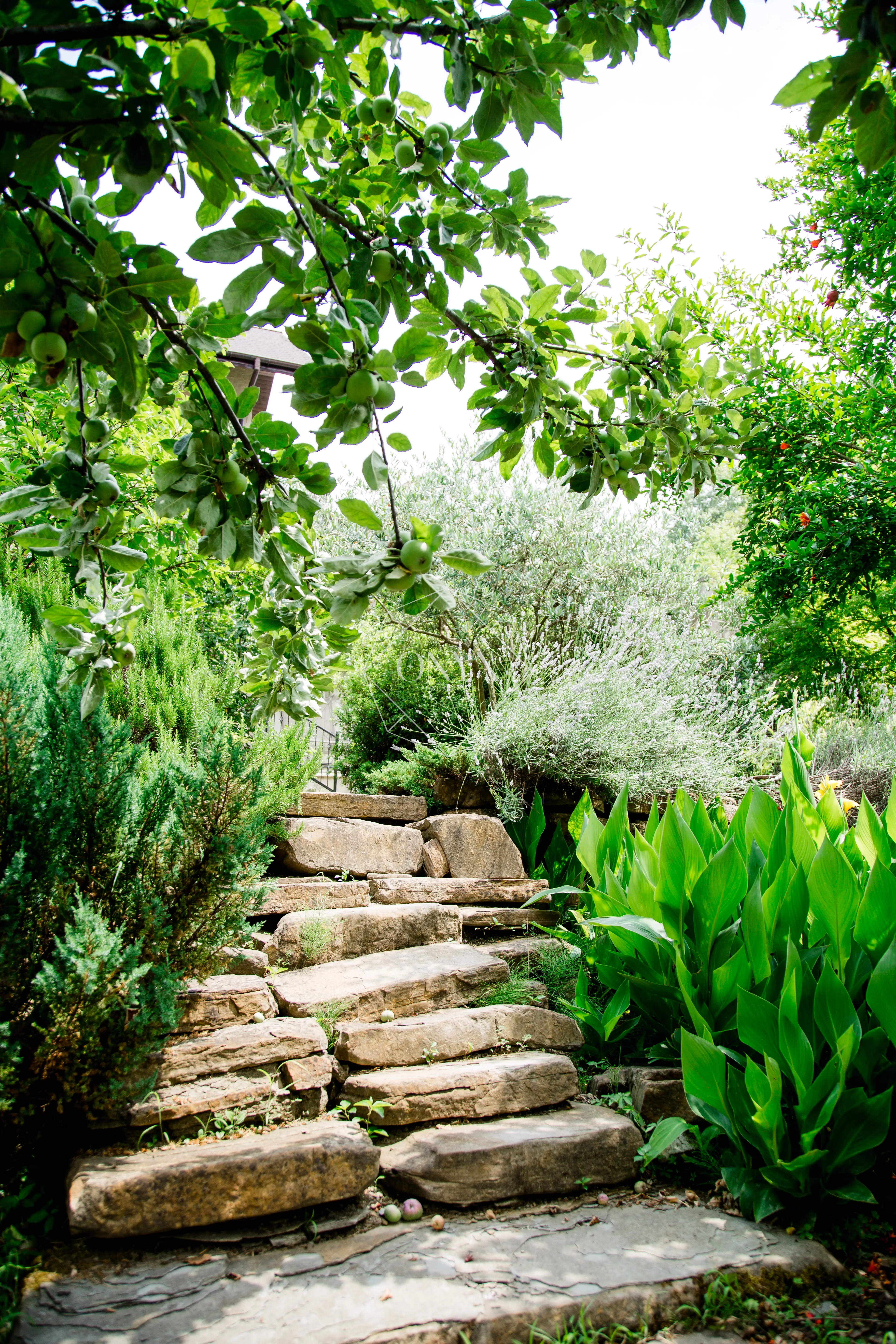 Изображение 11