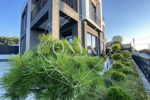 Изображение 7