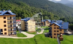 ЖК Катерина Альпик