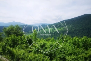 Изображение 30