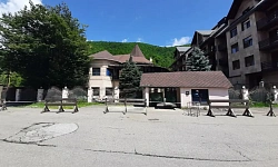 Продается АК Green Wood