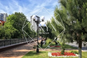 Изображение 13