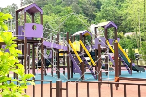 Изображение 12