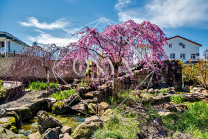 Изображение 57