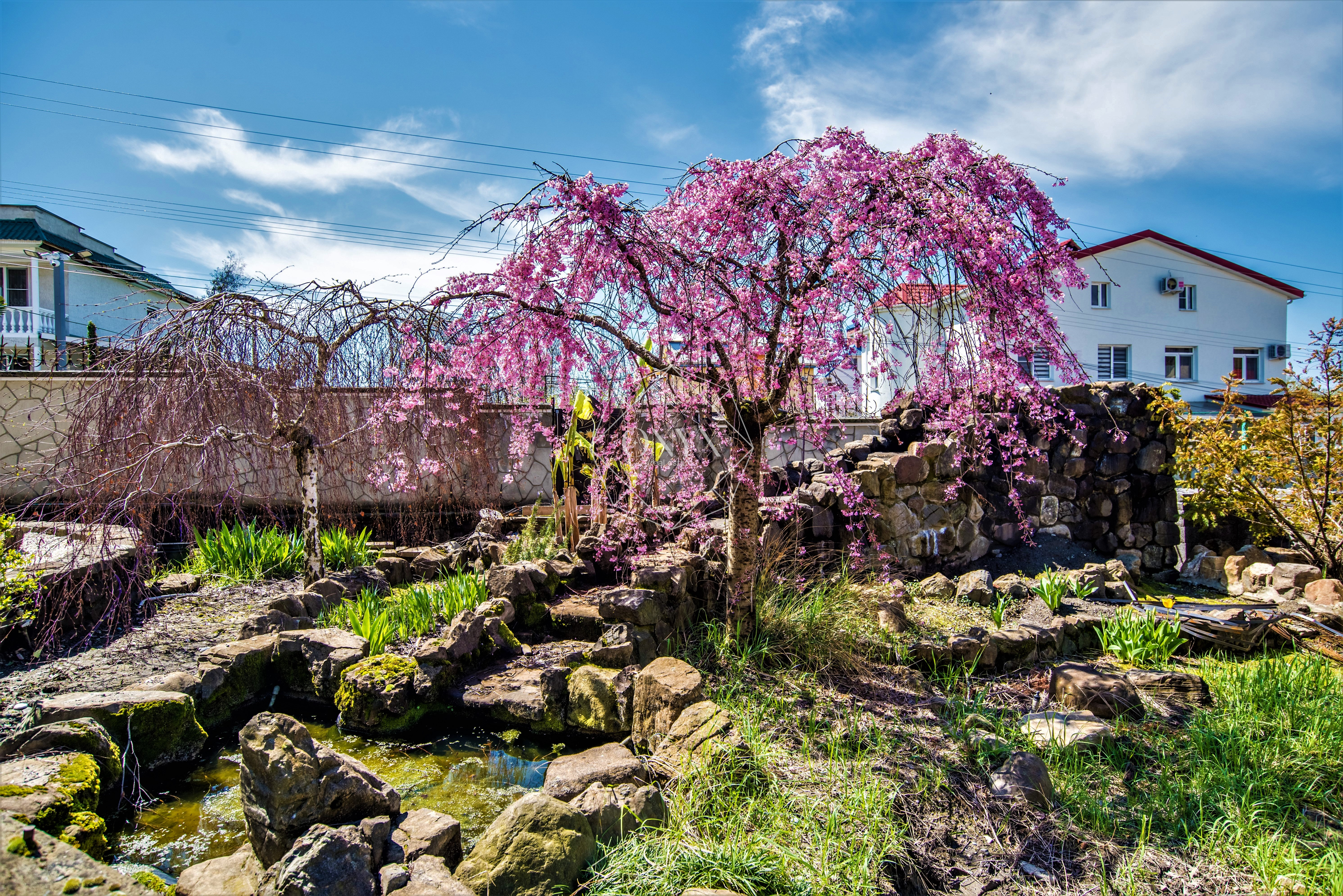 Изображение 57