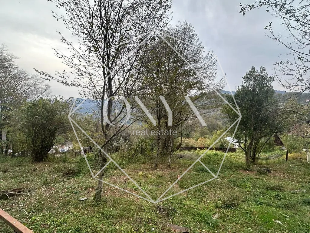 Изображение 16