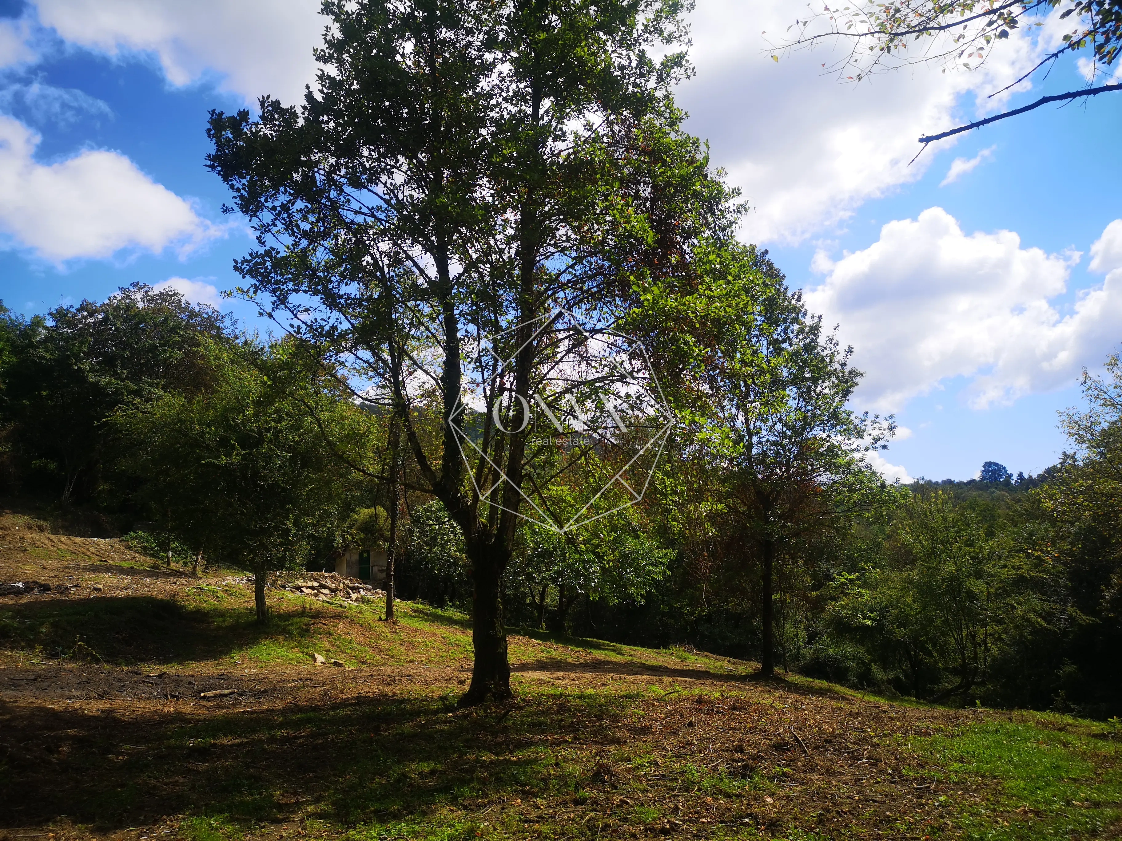 Изображение 14