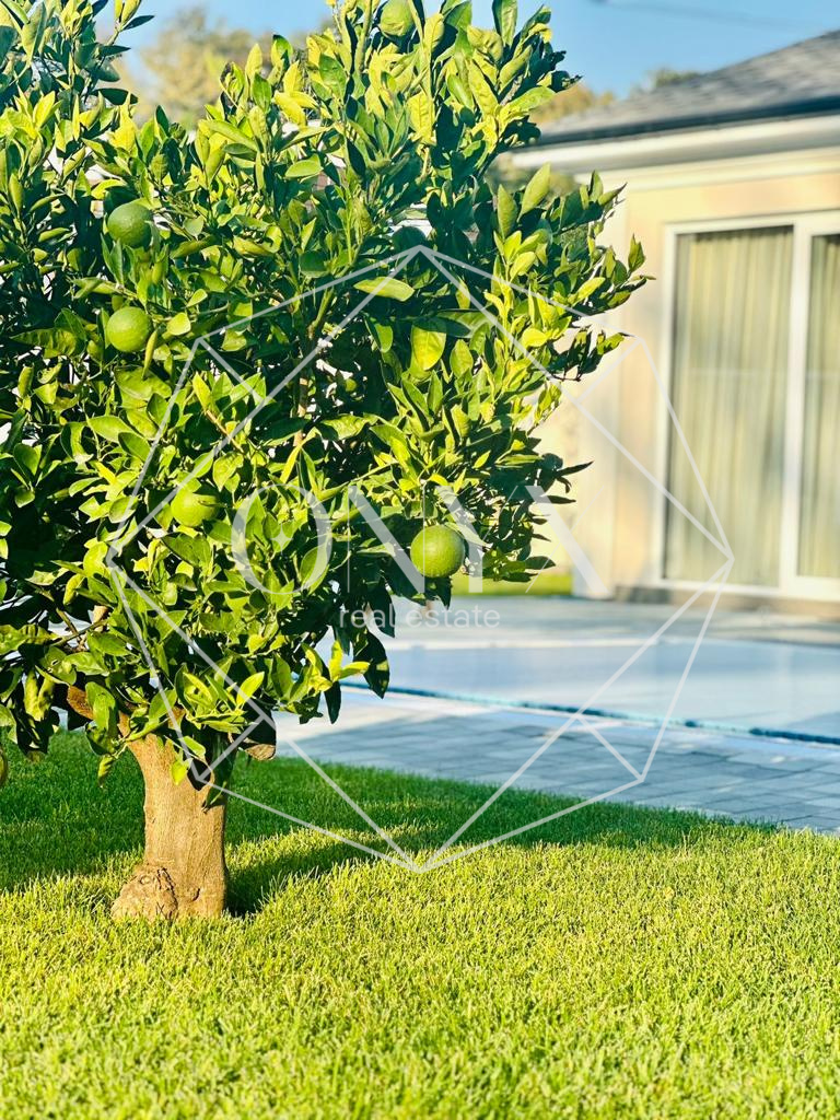 Изображение 12