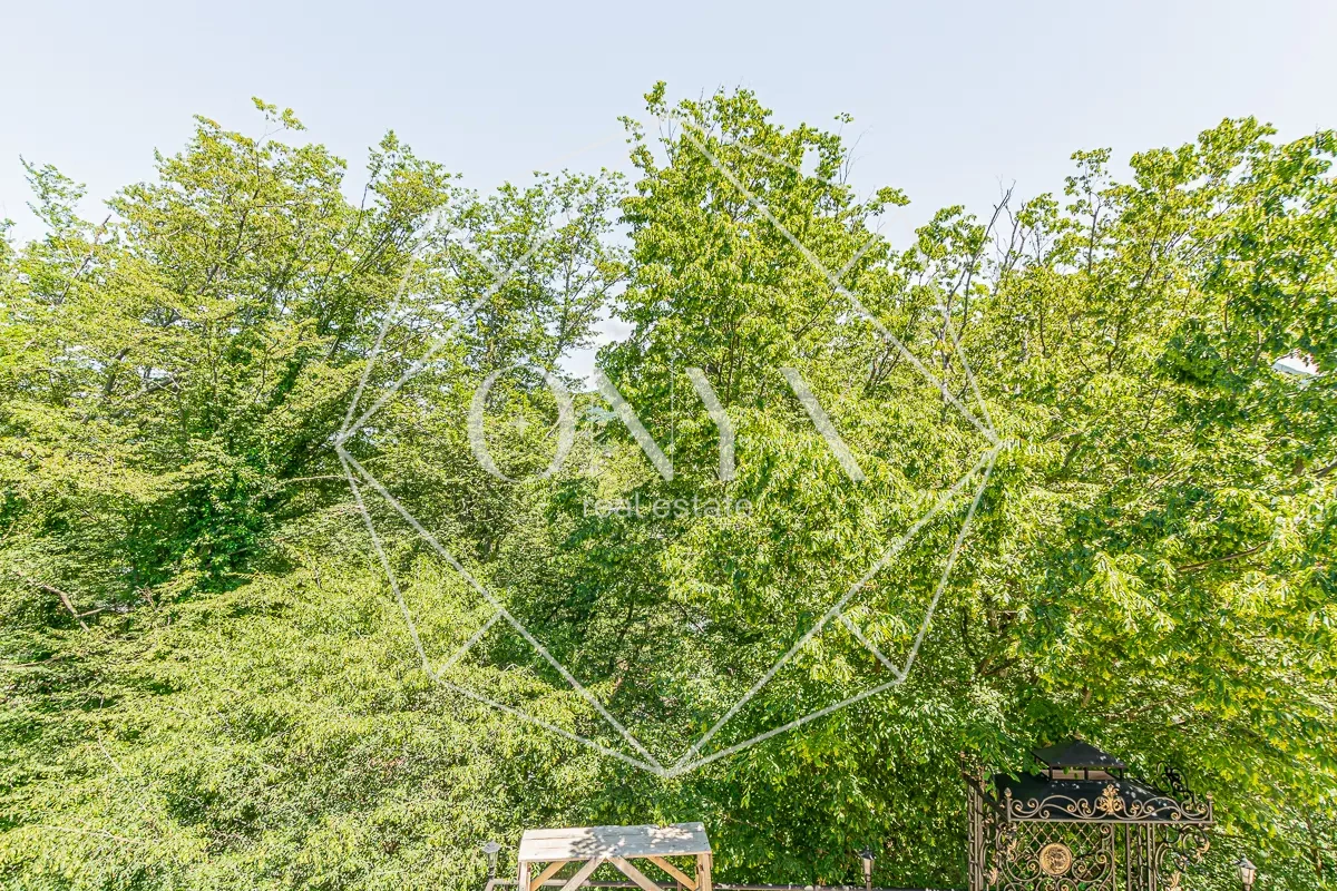 Изображение 14