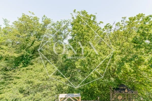 Изображение 14