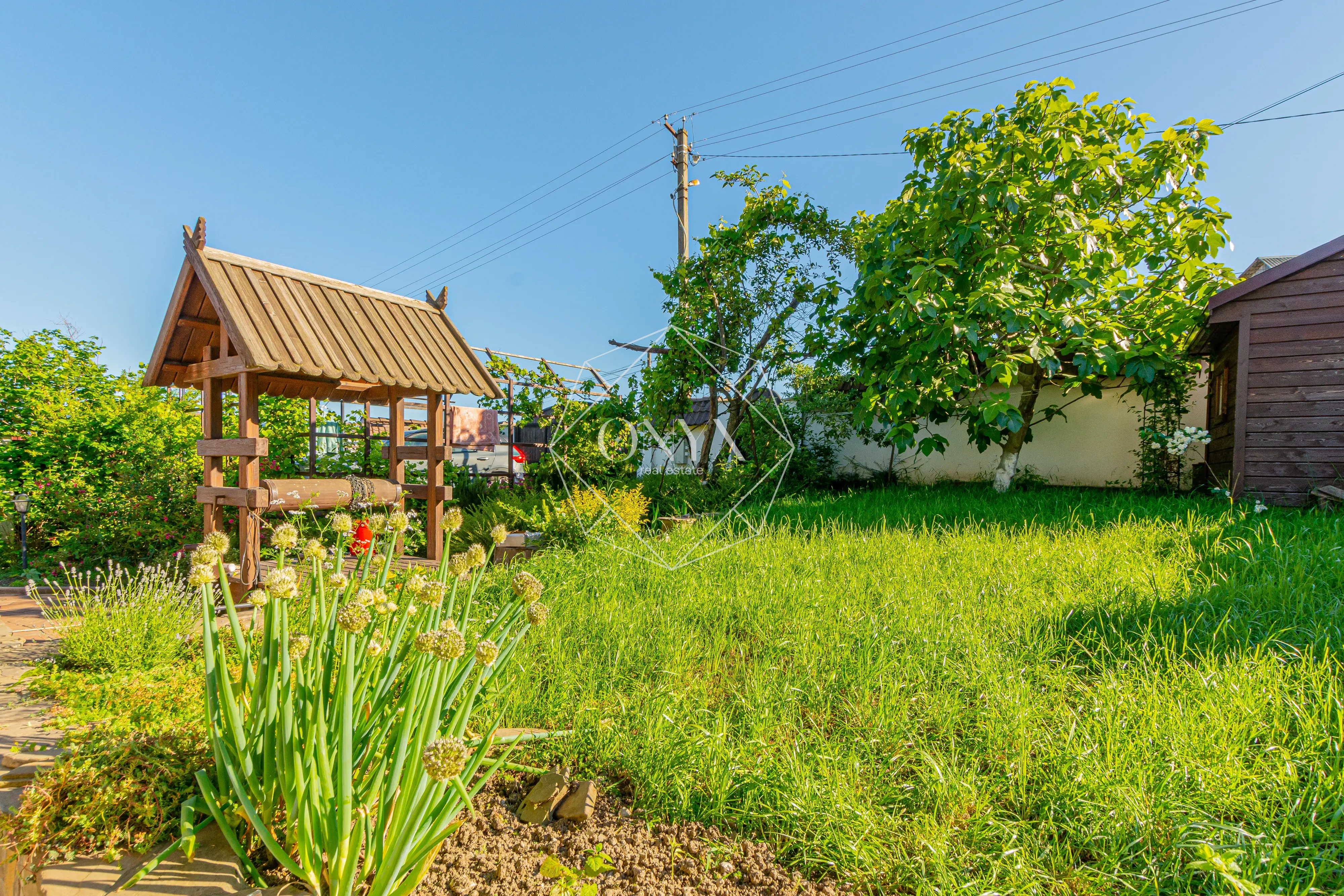 Изображение 31