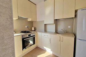 Двухкомнатная квартира в центральном районе С...