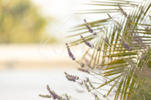 Изображение 23