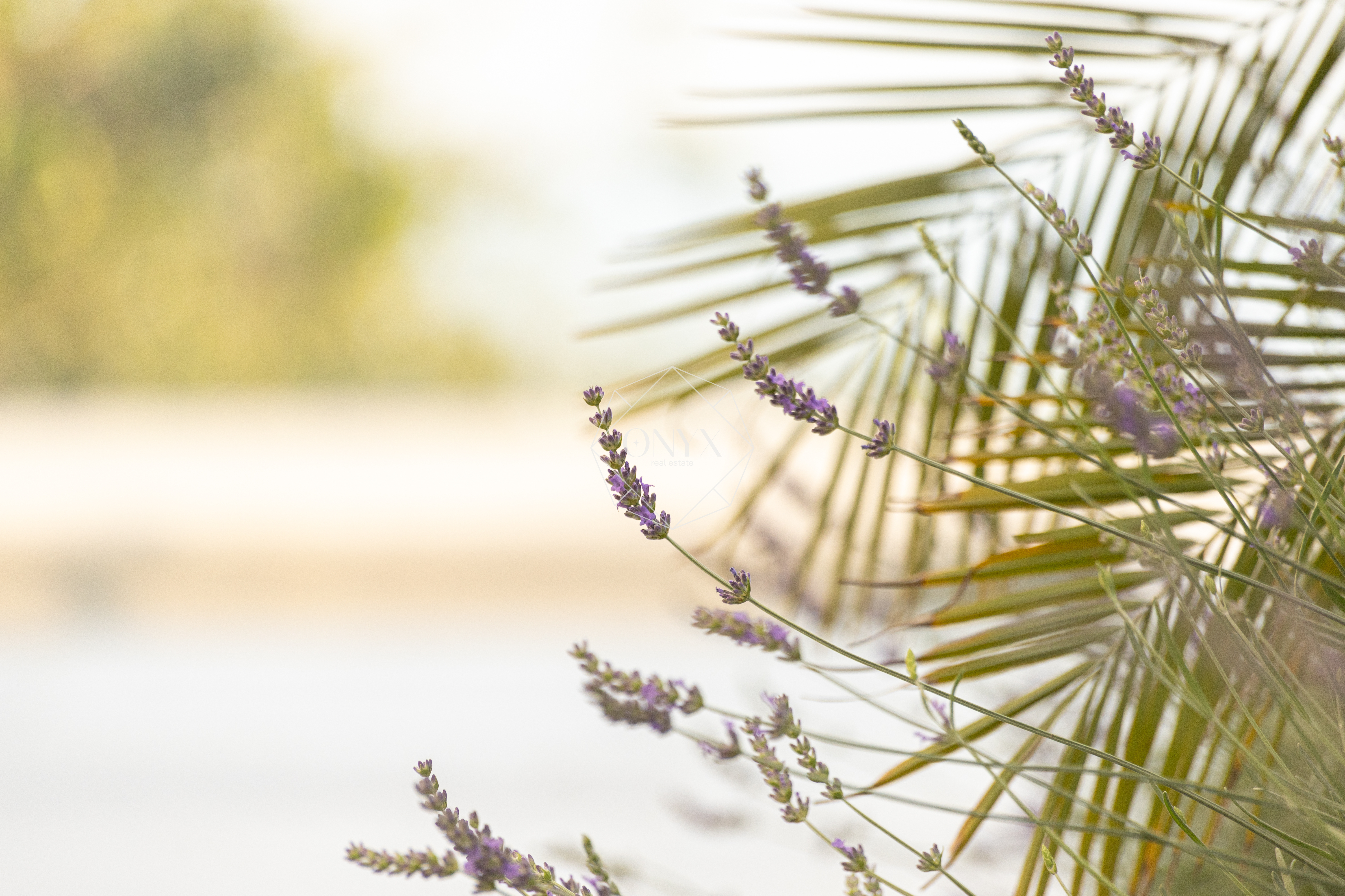 Изображение 23