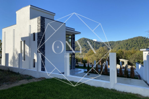 Изображение 13