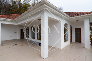 Изображение 16