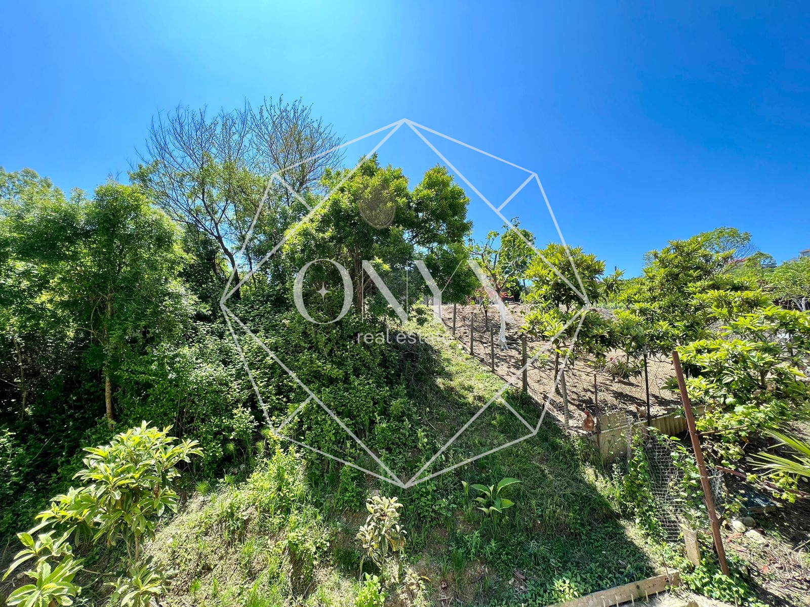 Изображение 12