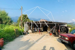 Изображение 11