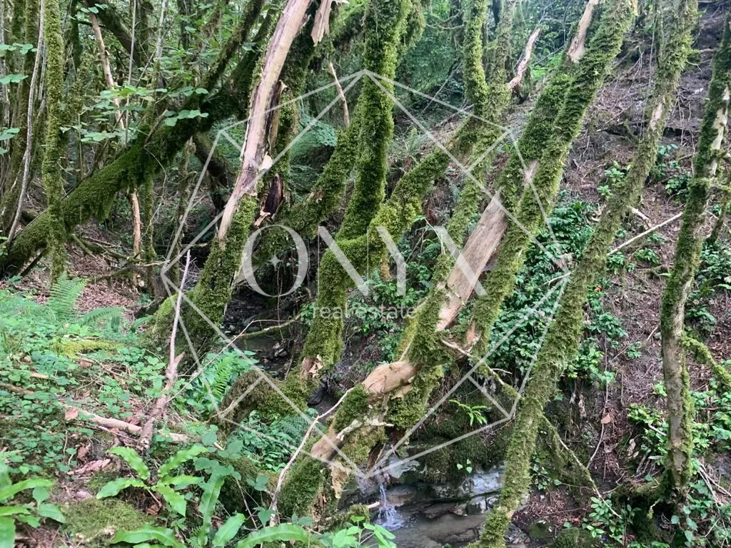 Изображение 29