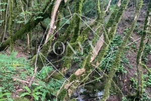 Изображение 29