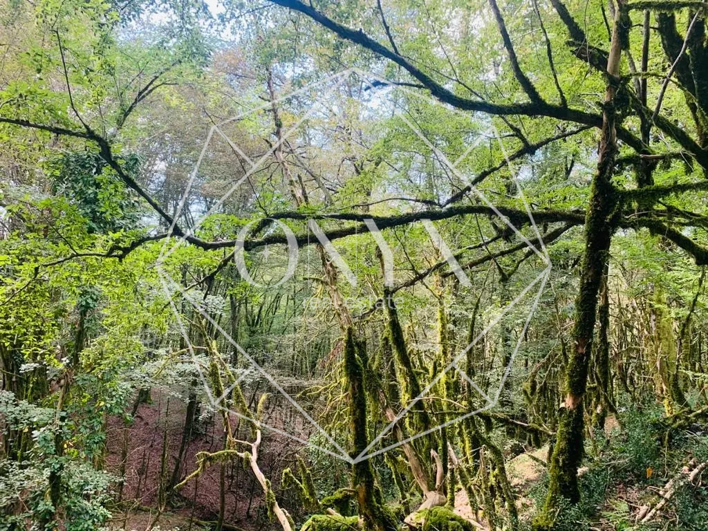 Изображение 28