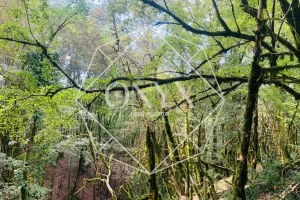 Изображение 28