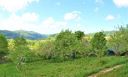 Шикарный участок утопающий в зелени