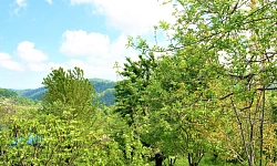 Лучший участок для строительства большого дом...