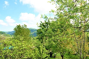 Лучший участок для строительства большого дом...