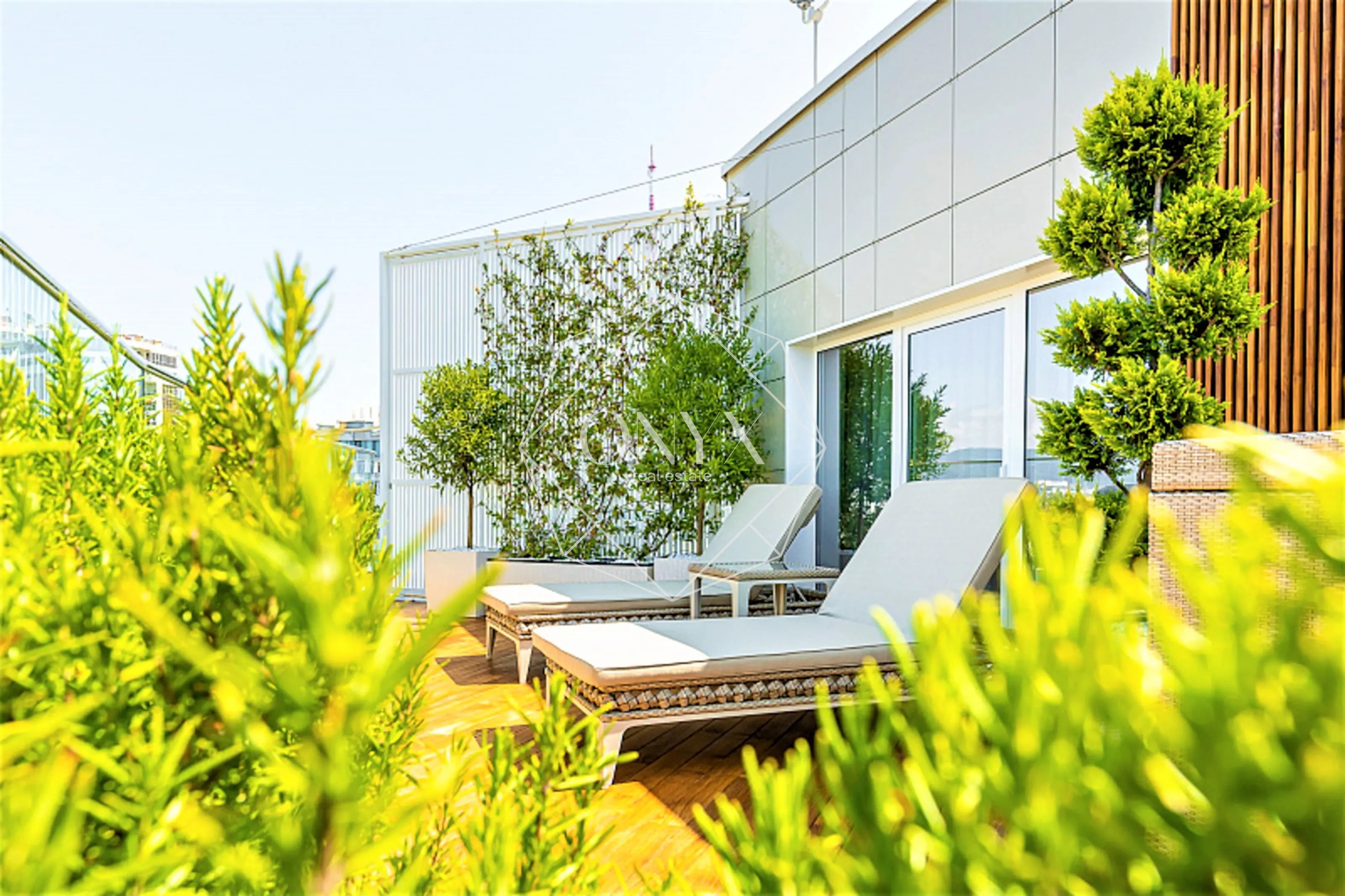 Изображение 26