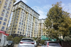 Изображение 16