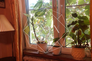 Изображение 7