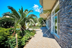 Изображение 24