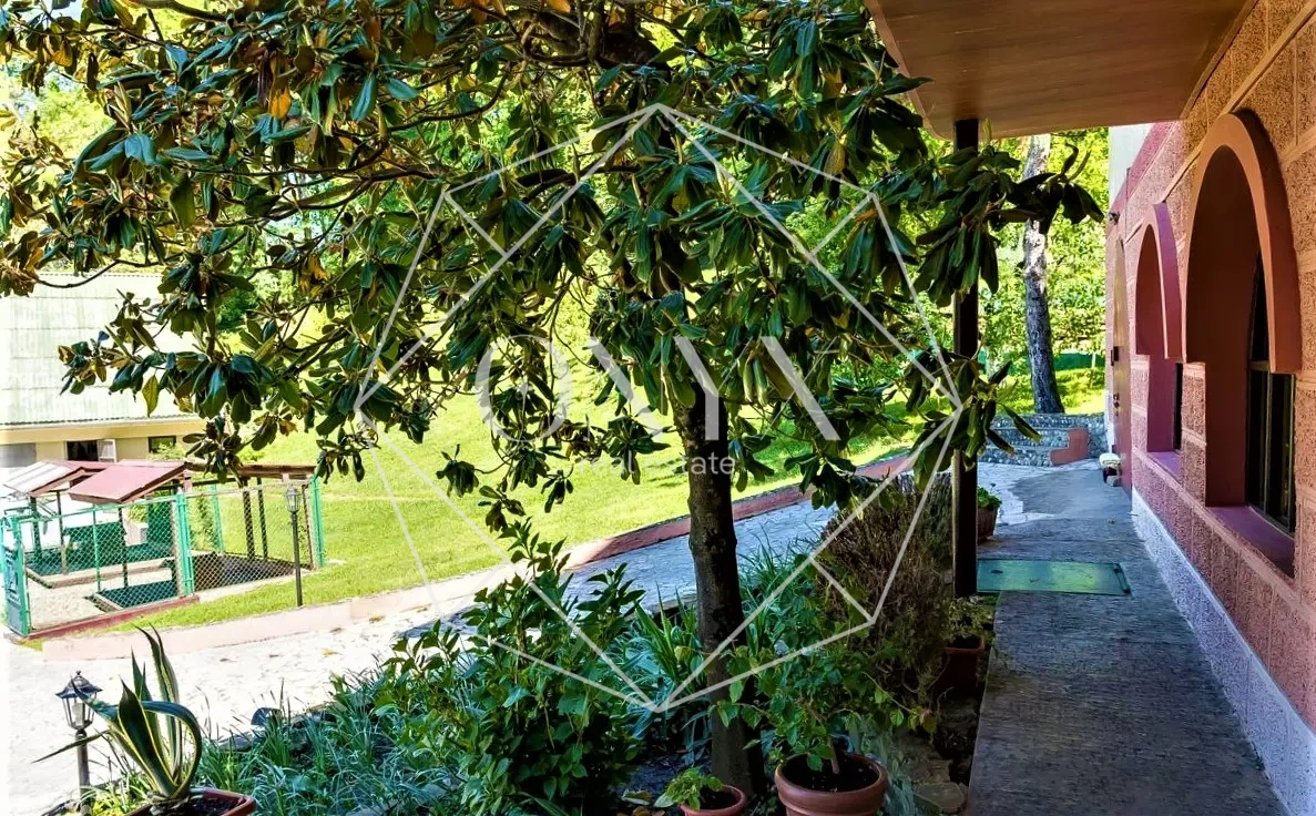 Изображение 12