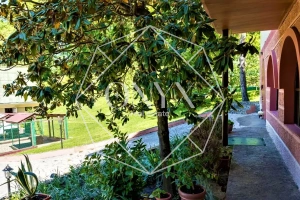 Изображение 12