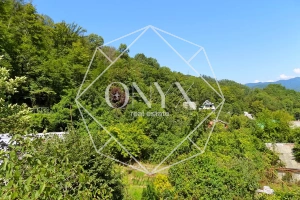 Изображение 14