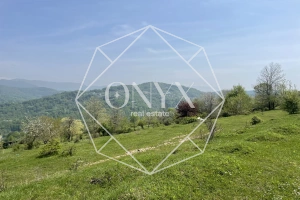 Изображение 8