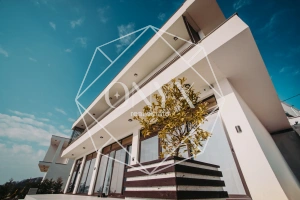 Изображение 20