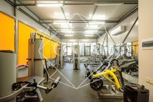 Изображение 17