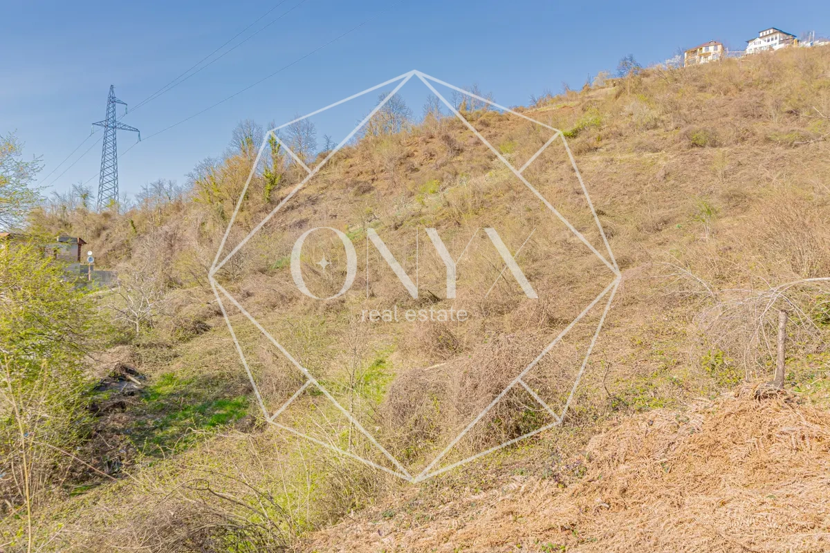 Изображение 12