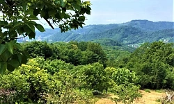 Шикарный видовой участок