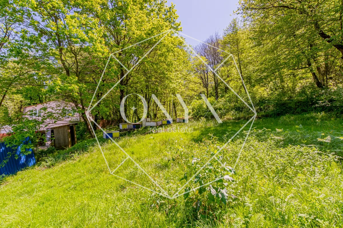 Изображение 12