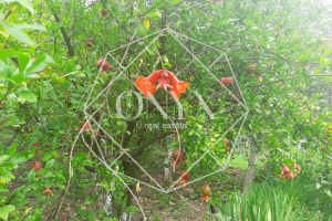 Изображение 8