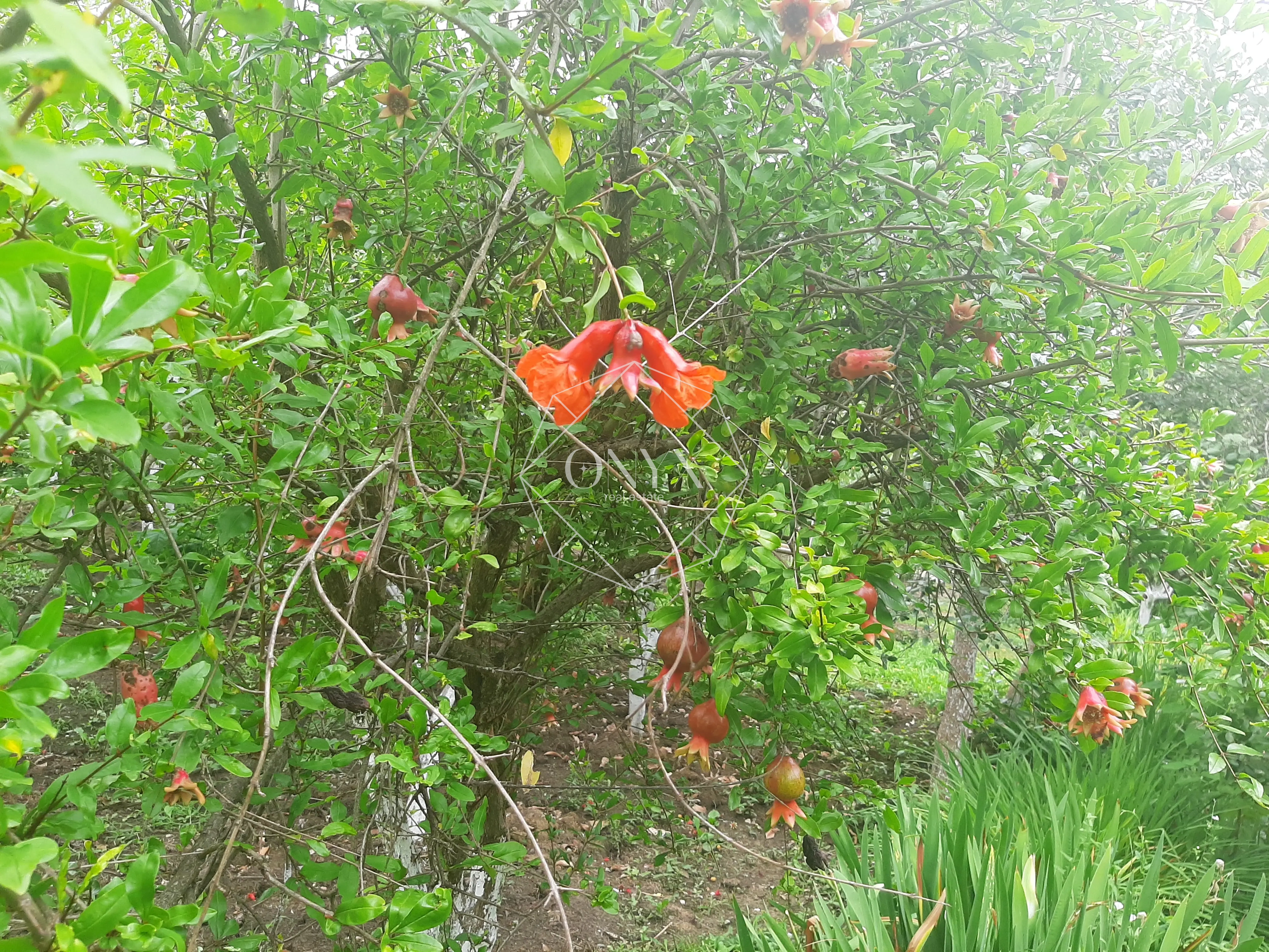 Изображение 8