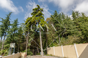 Изображение 13