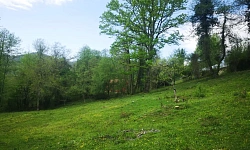 Земельный участок под частную резиденцию или ...